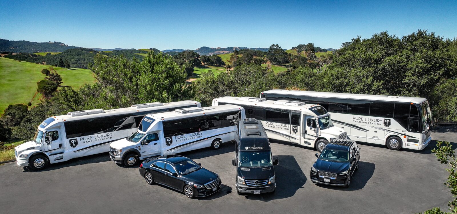 Pure Luxury Transportation photo 1