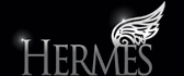 Hermes Worldwide, Inc. logo