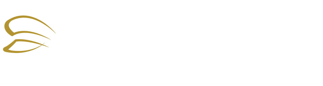 CS Brazil – Chauffeur Services Global logo