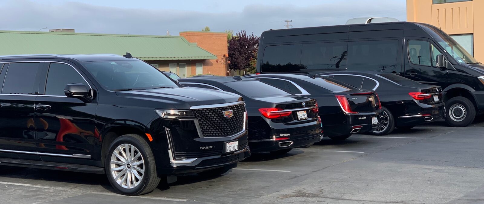 Allied Limousine photo 1