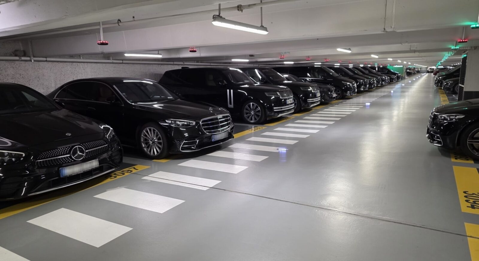 PEGASUS Limousine photo 1