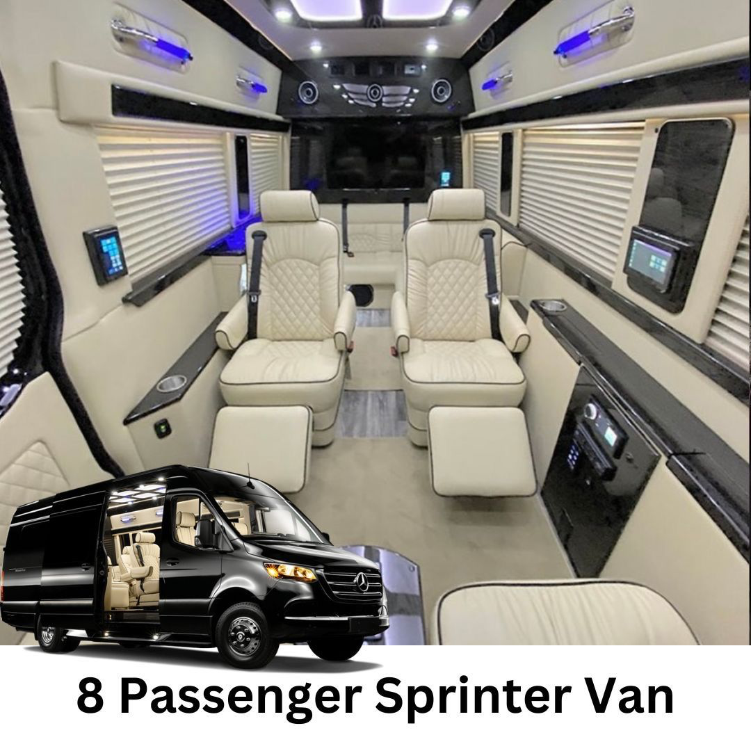 Executive Protection Transport photo 4