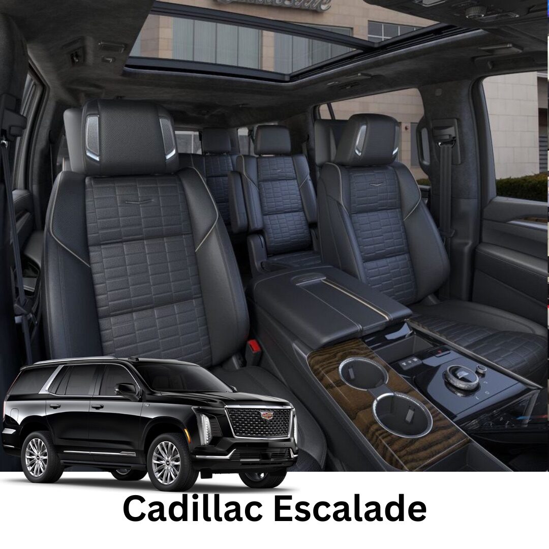 Executive Protection Transport photo 2