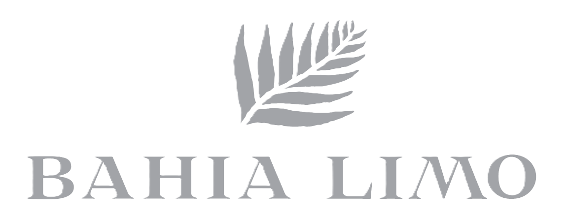 Bahia Limo logo