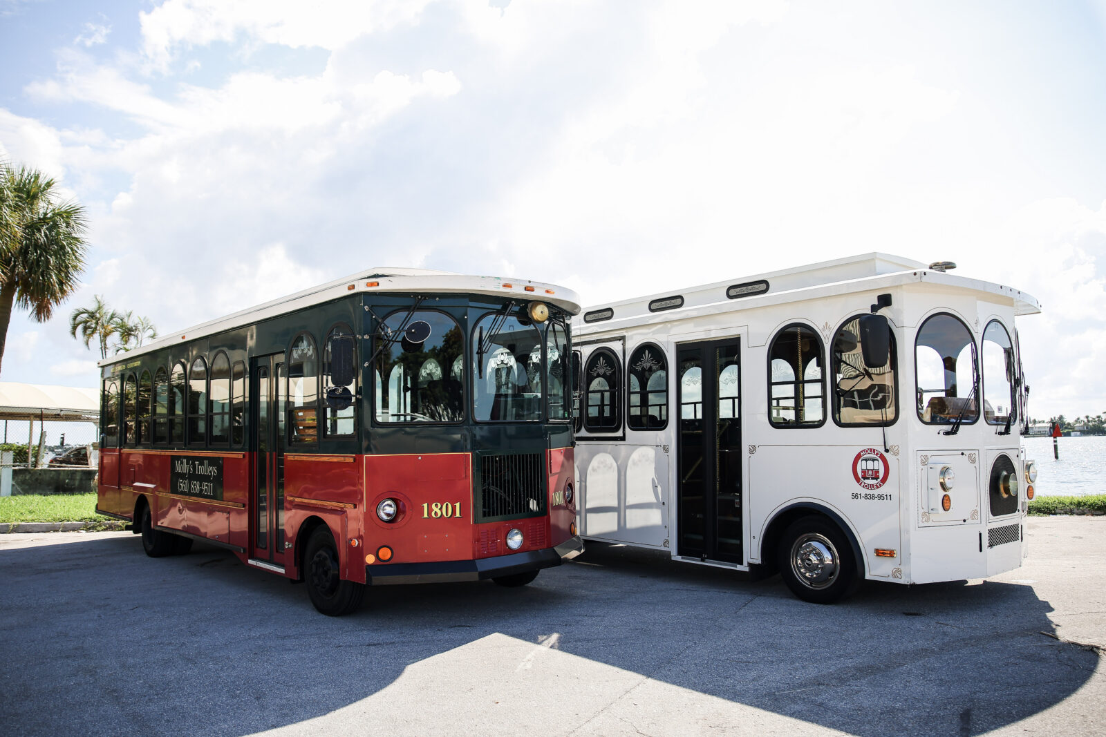 Palm Beach Tours & Transportation photo 4