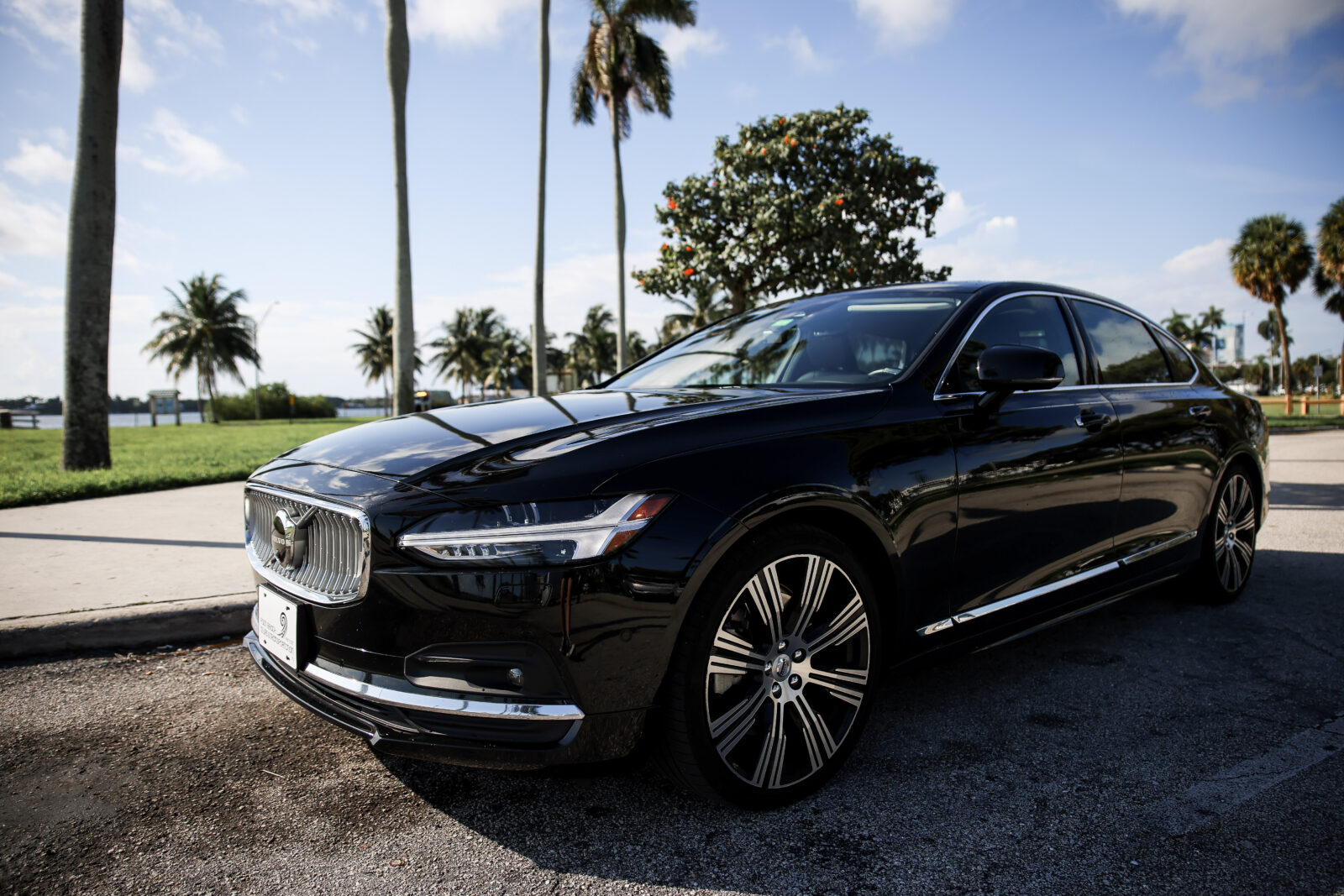 Palm Beach Tours & Transportation photo 1