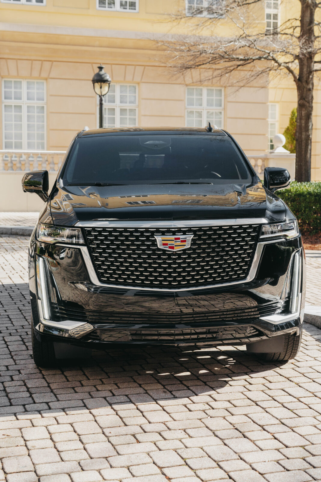 Gemini Luxury Transportation LLC photo 1