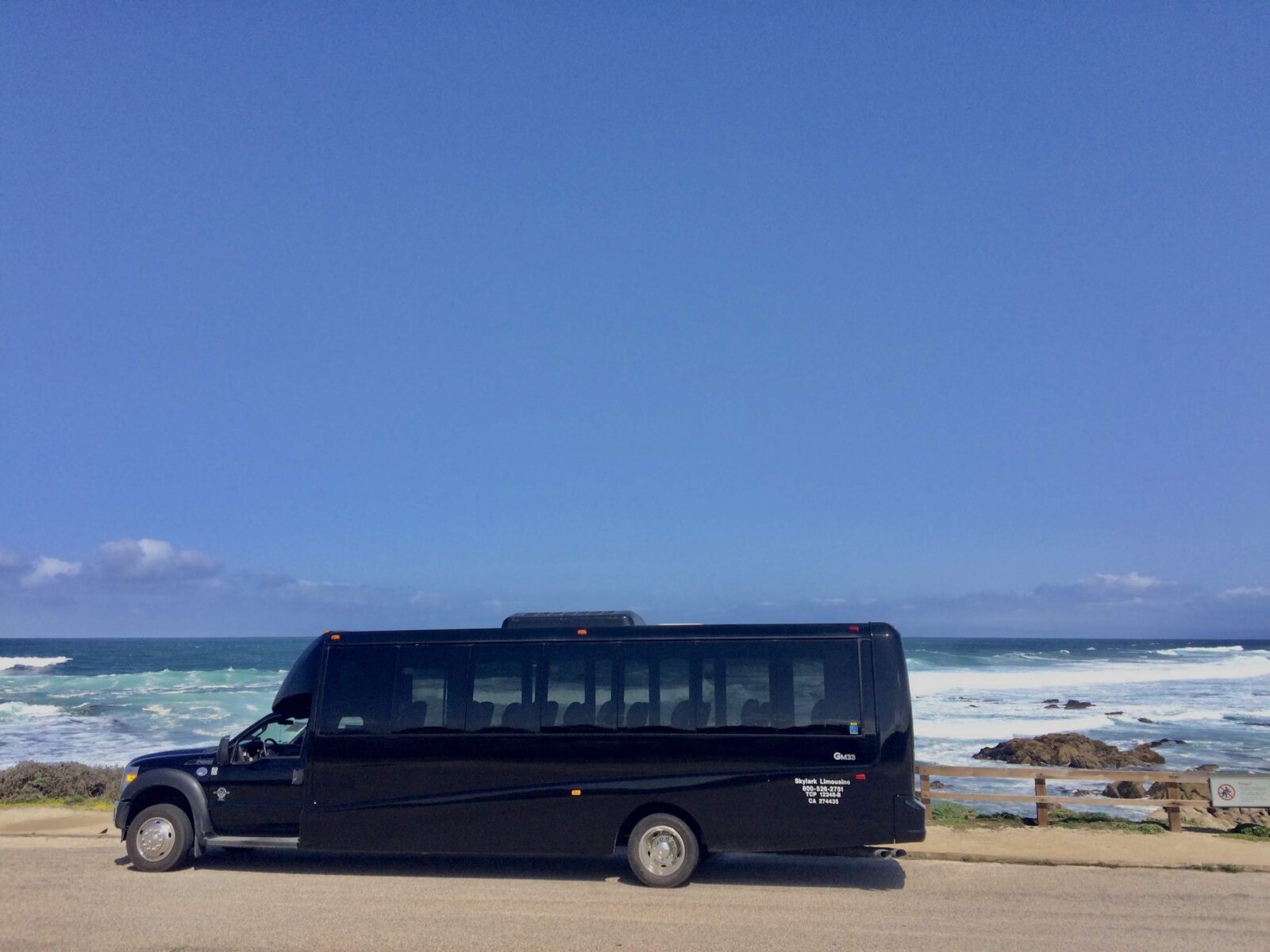 Skylark Limo photo 2