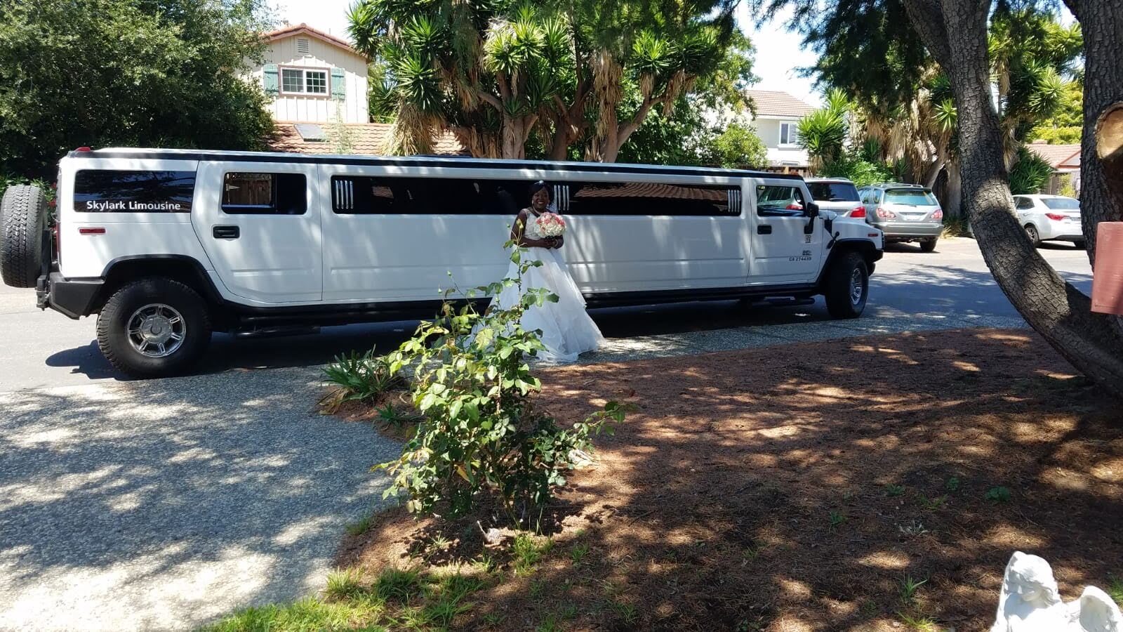 Skylark Limo photo 4