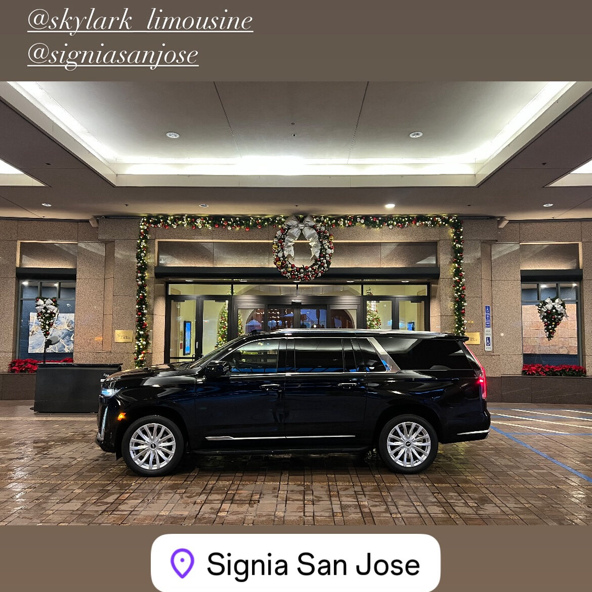 Skylark Limo photo 5