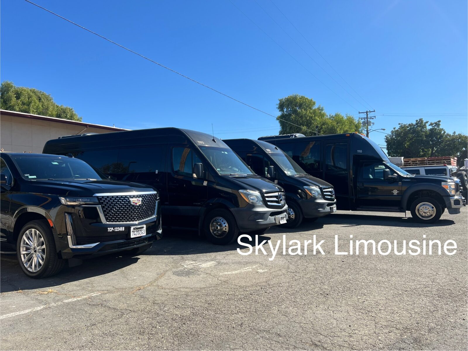 Skylark Limo photo 1