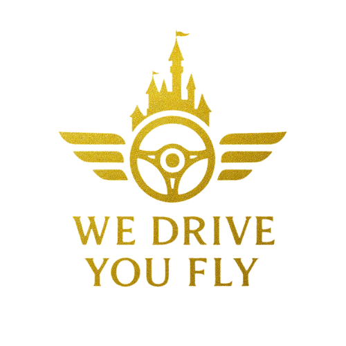 We Drive You Fly LLC logo