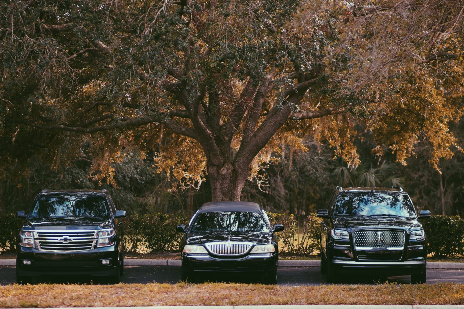 Garcia’s Events and Limos LLC photo 1