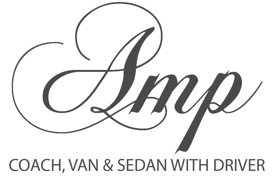 AMP logo