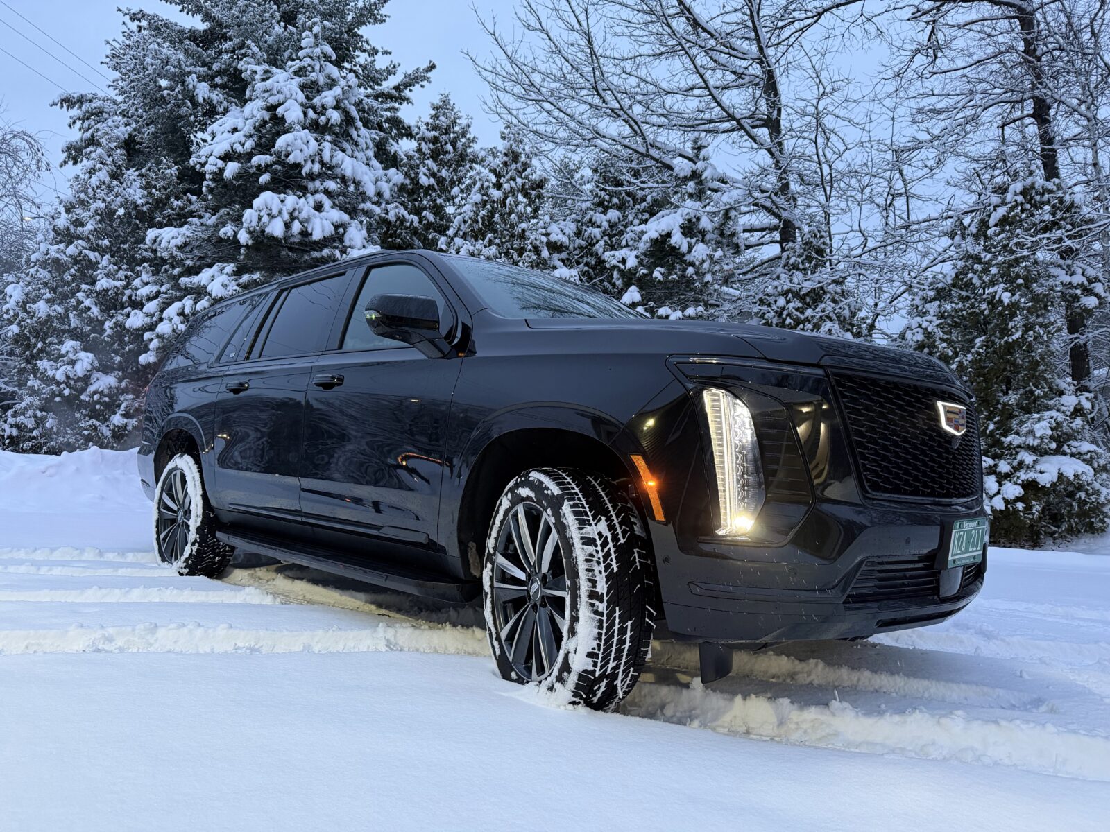 VT Lux Transportation photo 1