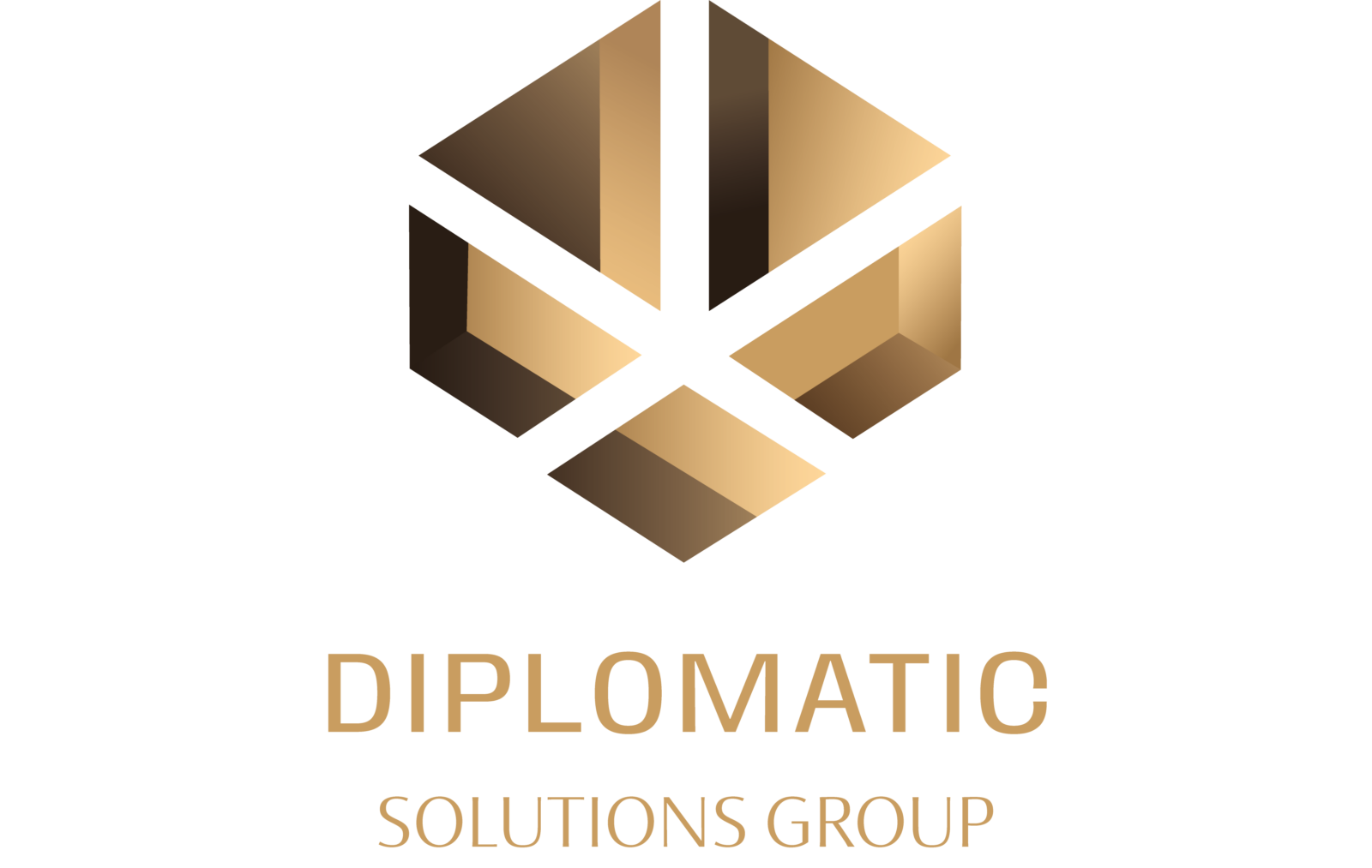 DIPLOMATIC SOLUTIONS GROUP logo