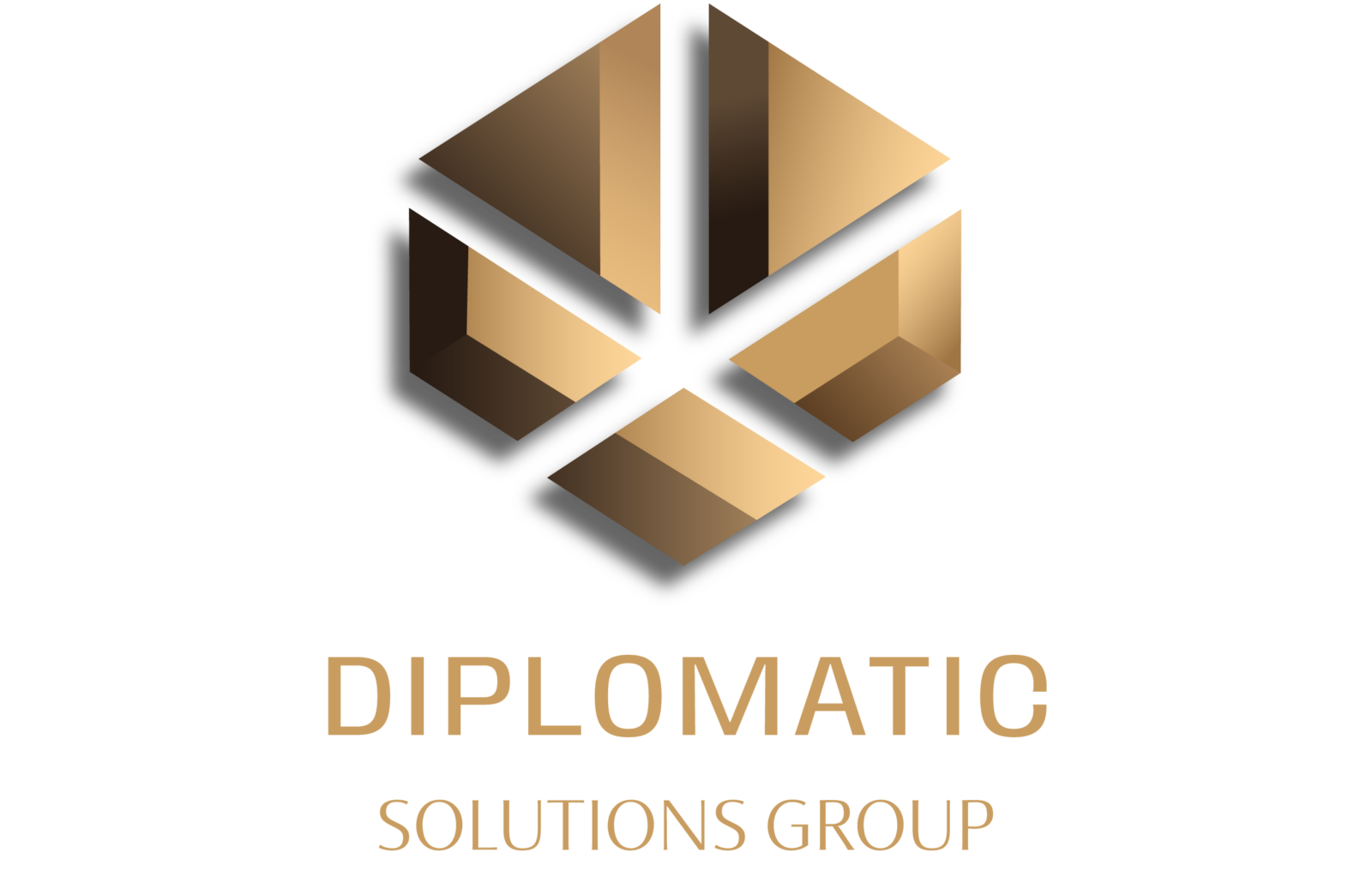 DIPLOMATIC SOLUTIONS GROUP photo 1