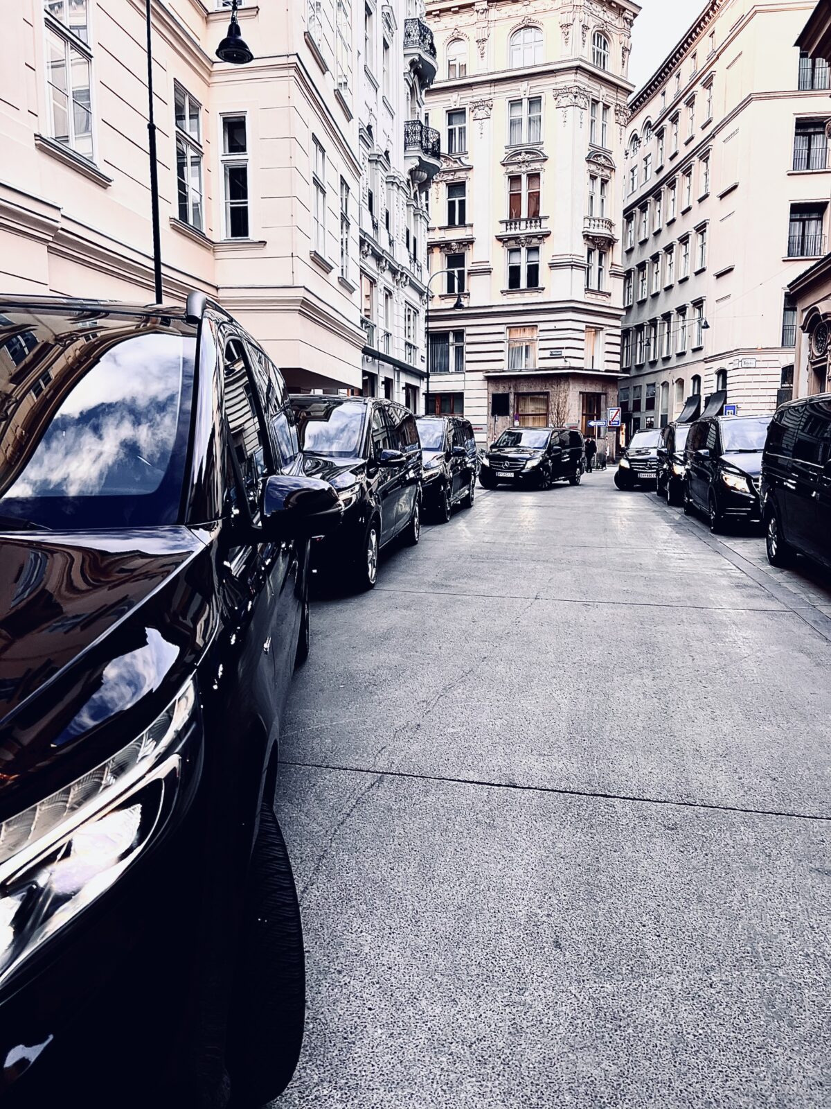The Luxury Line- Premium Chauffeured Services photo 2