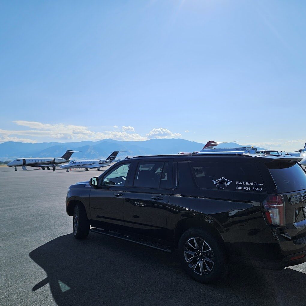 Black Bird Limousine photo 2