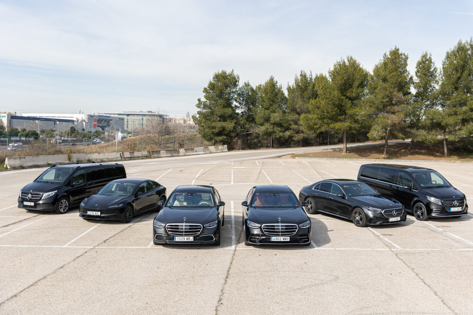 The Black Gloves Limousines photo 1